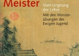 Feng Shui Meister Cover1