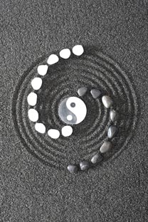 yin yang1