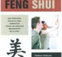 feng shui heute es2