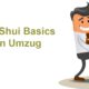 feng shui basics umzug