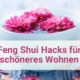 feng shui hacks wohnen preview