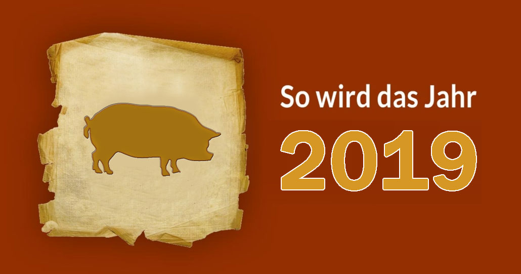 Fur 2019 Heisst Es Schwein Gehabt Dfsi