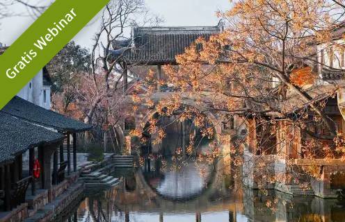 Webinar Einfuehrung flying stars