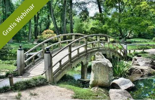 feng shui garten webinar